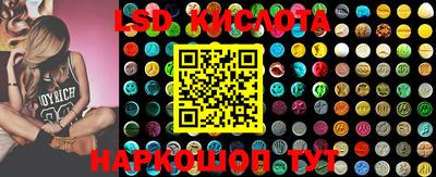 PSILOCYBIN Краснодар
