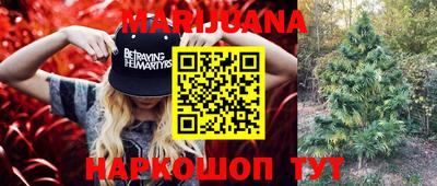 прущие грибы Краснокаменск