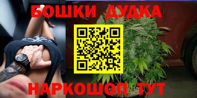 прущие грибы Краснокаменск