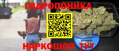 PSILOCYBIN Краснодар