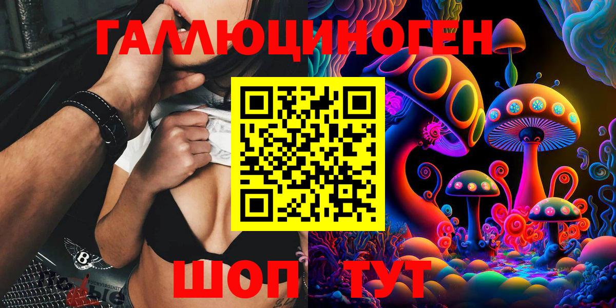 где купить   Вход с VPN  Черкесск  Галлюциногенные грибы Psilocybe 