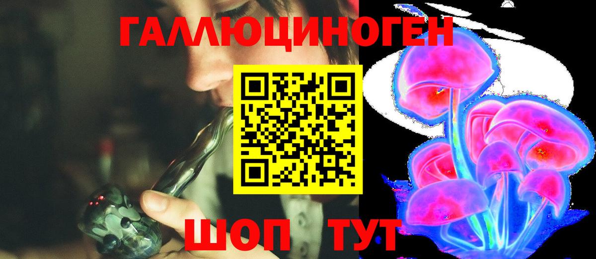 Псилоцибиновые грибы Cubensis Черкесск