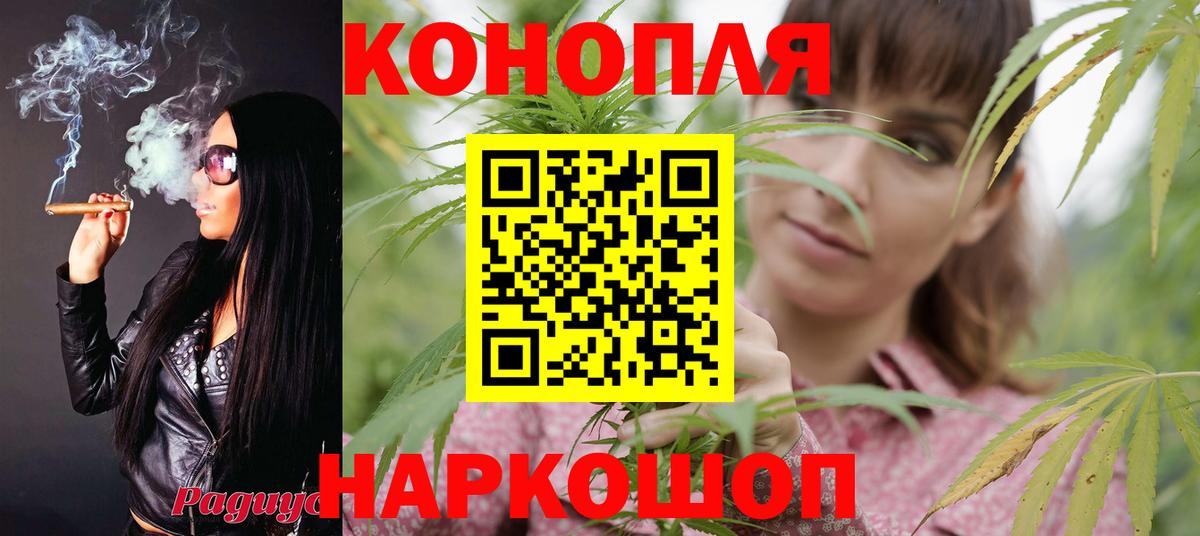 Марихуана тримм  Вход с VPN  Черкесск  Каннабис конопля 